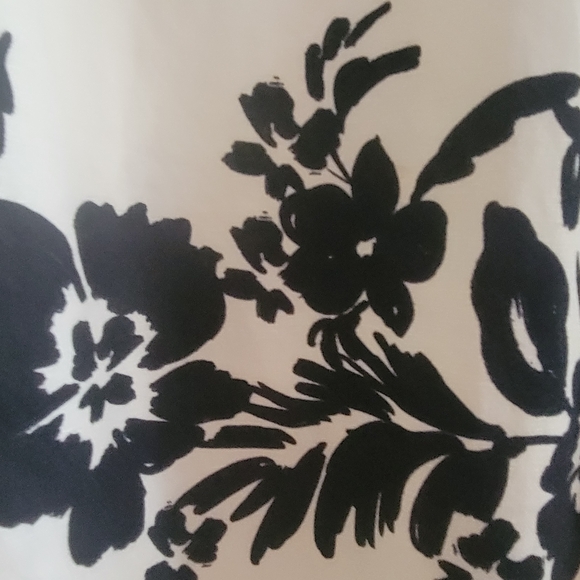 Zara Cream and Black Floral Mini Dress - Picture 3 of 8